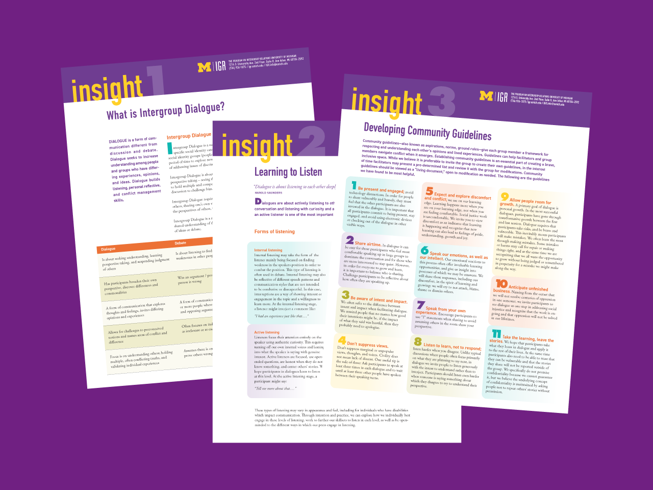 Thumbnail images of the first three IGR Insight handouts