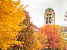 A fall scene on campus, with trees in the foreground and Burton Tower in the distance
