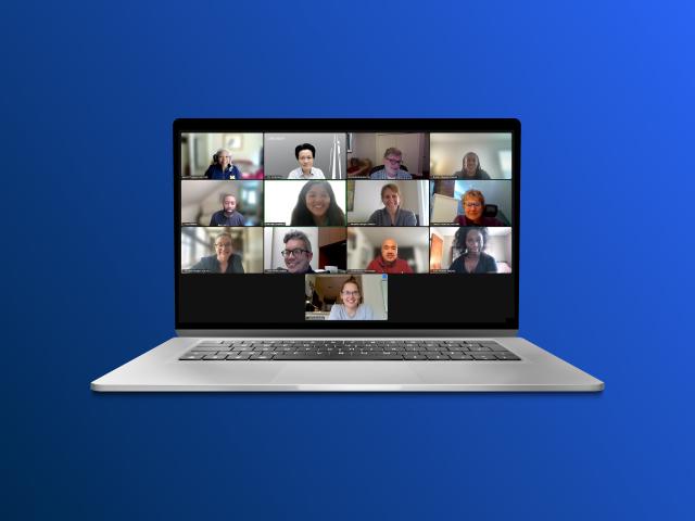 Screenshot of a Zoom meeting with Institute participants