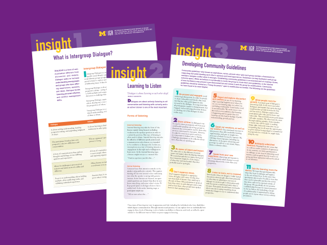Thumbnails of the first three IGR Insight handouts